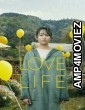 Love Life (2022) ORG Hindi Dubbed Movie