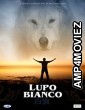 Lupo Bianco (2022) HQ Hindi Dubbed Movie