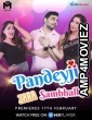 Pandeyji Zara Sambhalke (2021) Hindi Season 1 Complete Show