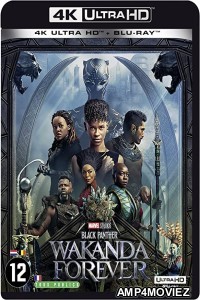 Black Panther Wakanda Forever (2022) Hindi Dubbed Movie