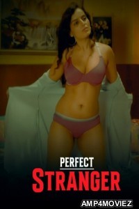 Perfect Stranger (2023) Hindi HottyNotty Short Film