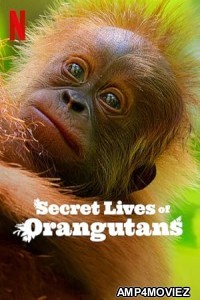 Secret Lives of Orangutans (2024) ORG Hindi Dubbed Movie